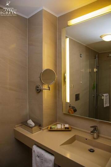 Фото номера Большой двухместный номер с 1 кроватью Отель New Hotel Egreta г. Дунавэцу-де-Жос 2