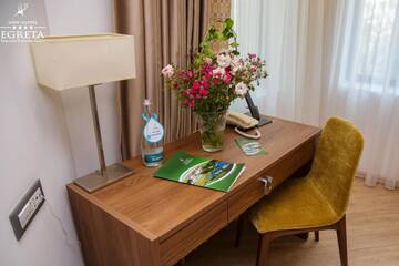 Фото номера Стандартный двухместный номер с 1 кроватью Отель New Hotel Egreta г. Дунавэцу-де-Жос 7