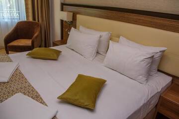 Фото номера Стандартный двухместный номер с 1 кроватью Отель New Hotel Egreta г. Дунавэцу-де-Жос 6