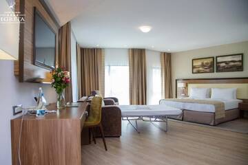 Фото номера Большой двухместный номер с 1 кроватью Отель New Hotel Egreta г. Дунавэцу-де-Жос 5